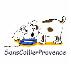 Sans Collier Provence